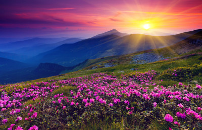 131931__mountains-flowers-sunrise-sun_p