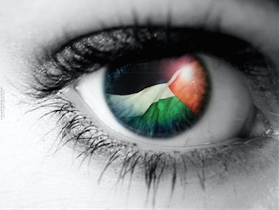 oeil-palestine