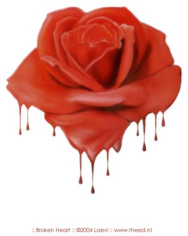 rose sanglante-1 - copie